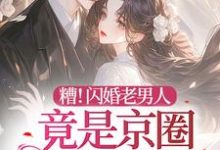 已完结小说《糟！闪婚老男人竟是京圈太子爷》章节免费阅读-瑞奇文学