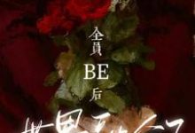 已完结小说《全员be后，世界融合了》章节在线阅读-瑞奇文学