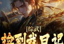 小说《综武：捡到我日记，师娘心凉了》完整版章节免费阅读-瑞奇文学