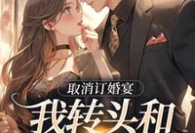 完结版《取消订婚宴，我转头和别人领证》章节阅读-瑞奇文学