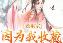 宋皎皎小说完整版《老祖宗因为我收藏的视频，被剧透！》免费阅读-瑞奇文学