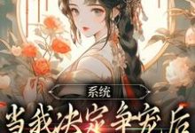 《系统：当我决定争宠后，后宫无敌手》林双双萧凌小说免费阅读完整版-瑞奇文学