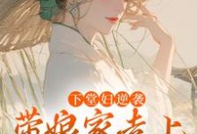 《下堂妇逆袭，带娘家走上人生巅峰》小说沈韵章节章节免费在线阅读-瑞奇文学