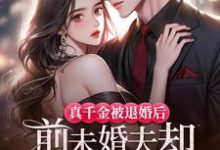 完结版《真千金被退婚后，前未婚夫却疯狂扒她马甲》在线免费阅读-瑞奇文学