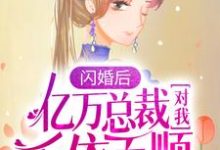 《闪婚后，亿万总裁对我千依百顺》陆清清盛明羲小说免费阅读完整版-瑞奇文学