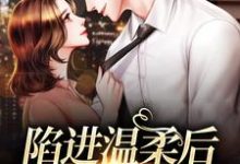 小说《陷进温柔后，他宠上瘾了》在线章节阅读-瑞奇文学