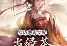 乔挽颜完整版《穿成恶毒女配，当绿茶这么有趣？》小说免费阅读-瑞奇文学