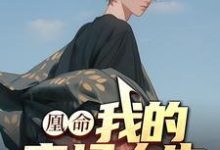 完结版《凰命：我的官场人生》免费阅读-瑞奇文学