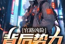 完结版《官路凶险，背后势力怎么除》章节阅读-瑞奇文学