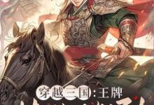 穿越三国：王牌特种兵驾到！小说的免费阅读版本在哪里可以找到？-瑞奇文学