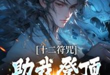十二符咒助我登顶仙界巅峰小说最新章节在哪里可以读到？-瑞奇文学