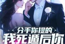 分手你提的，我死遁后你哭什么？小说，分手你提的，我死遁后你哭什么？在线阅读-瑞奇文学