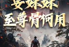 在线免费阅读系统在手！要妹妹至尊骨何用完整小说-瑞奇文学