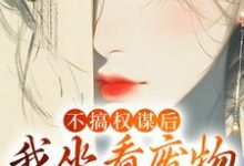 不搞权谋后，我坐看废物儿女作死完整版小说免费阅读，不搞权谋后，我坐看废物儿女作死小说-瑞奇文学