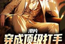 求推荐可以免费阅读港片：穿成顶级打手，爆兵称霸港岛小说的网站-瑞奇文学