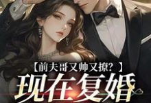 完结版《前夫哥又帅又撩？现在复婚来得及吗》在线免费阅读-瑞奇文学