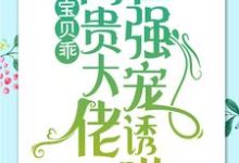 哪里可以免费找到宝贝乖：高贵大佬在强宠诱哄？-瑞奇文学