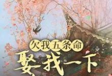 完结版《欠我五条命，娶我一下怎么了？》免费阅读-瑞奇文学