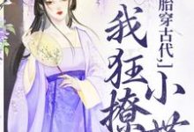 小说完整版《胎穿古代，我狂撩小世子》免费阅读-瑞奇文学