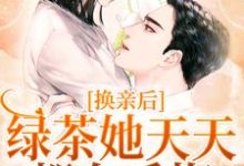 小说《换亲后，绿茶她天天都在后悔》章节免费阅读-瑞奇文学