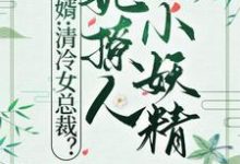 小说《赘婿：清冷女总裁？她撩人小妖精》章节免费阅读-瑞奇文学