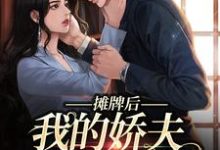 南烟傅靳司完整版《摊牌后，我的娇夫变小弟》小说免费阅读-瑞奇文学