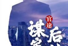 小说《官途：谋定而后动》完整版章节免费阅读-瑞奇文学