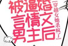 《被逼婚言情文男主后，穿越女她杀疯了》小说免费阅读完整版-瑞奇文学