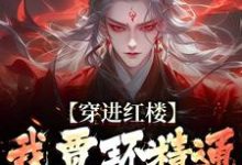 贾环完整版小说免费阅读-瑞奇文学