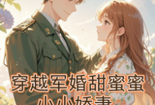 《穿越军婚甜蜜蜜：小小娇妻》陈小小雷鸣小说免费阅读完整版-瑞奇文学