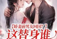 小说《娇妻前男友回国？这替身谁爱当谁当》章节免费阅读-瑞奇文学