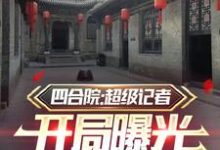 四合院：超级记者开局曝光易忠海免费阅读，四合院：超级记者开局曝光易忠海方大海-瑞奇文学