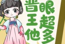 免费看王妃快跑，晋王他心眼超多！小说的网站有哪些？-瑞奇文学