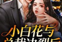 免费在线阅读小白花与总裁决裂后，他后悔疯了小说的正规网站有哪些？-瑞奇文学