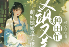 《萌娃她娘是大佬，又飒又美种田忙》沈煜宁傅风华小说免费阅读完整版-瑞奇文学