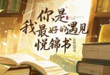 《你，是我最好的遇见》小说章节在线试读，《你，是我最好的遇见》最新章节目录-瑞奇文学