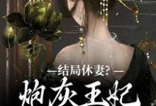 李天娇玉宸小说完整版《结局休妻？炮灰王妃她力挽狂澜》免费阅读-瑞奇文学