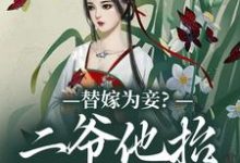 小说《替嫁为妾？二爷他抬我为妻》章节免费阅读-瑞奇文学