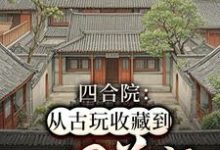 四合院：从古玩收藏到世界首富何雨生何雨柱小说在线章节免费阅读-瑞奇文学