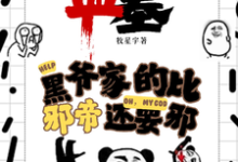 《盗墓：黑爷家的比邪帝还邪》小说大结局免费试读 凌羽小说-瑞奇文学