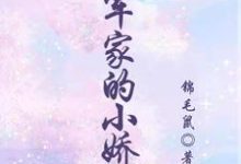 将军家的小娇娘林秀兰，将军家的小娇娘在线无弹窗阅读-瑞奇文学