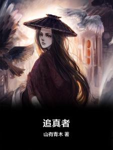 《追真者》褚致雨小说免费阅读完整版