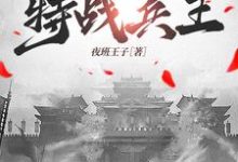 《抗战之特战兵王》小说章节在线试读，《抗战之特战兵王》最新章节目录-瑞奇文学