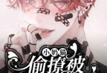 完结版《小奶猫偷撩被影帝盯上了》免费阅读-瑞奇文学