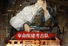 奉命组建考古队，开局招募张麒麟完整版小说免费阅读，奉命组建考古队，开局招募张麒麟小说-瑞奇文学