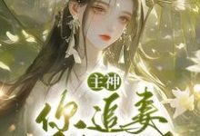 小说完整版《主神，你追妻又失败了？》免费阅读-瑞奇文学