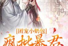 《团宠小奶包，疯批暴君沉迷养崽》萧璟月萧永乾完整版小说免费阅读-瑞奇文学