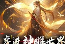 《穿进神雕世界，我成武林至尊》全集免费在线阅读（李星辰）-瑞奇文学
