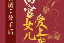 免费看官诱：分手后，高官女儿爱上我小说的网站有哪些？-瑞奇文学
