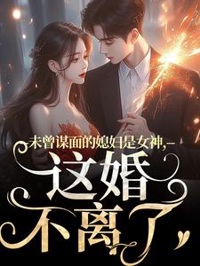 完结版《未曾谋面的媳妇是女神，这婚不离了》免费阅读